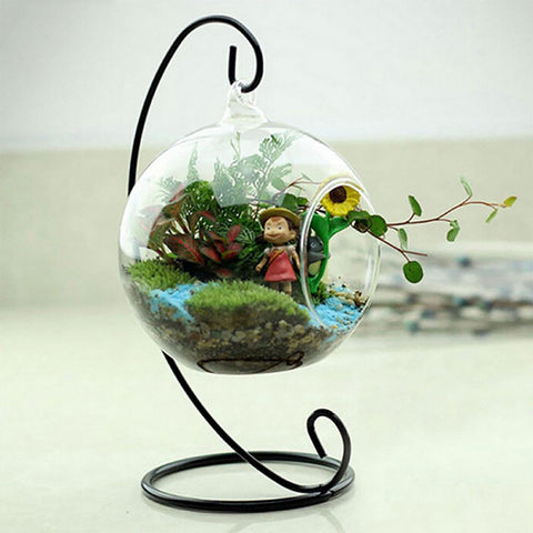 Flower Plants in Hanging Glass Vase